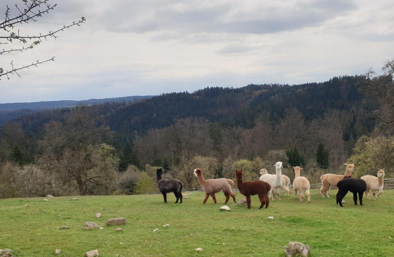 Lana Salta Alpakas - Gemuetliche Ferienwohnungen Auf Dem Bauernhof Murrhardt Kültér fotó