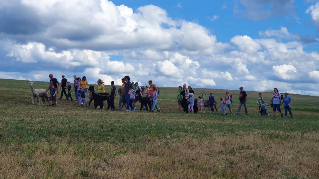Lana Salta Alpakas - Gemuetliche Ferienwohnungen Auf Dem Bauernhof Murrhardt Kültér fotó