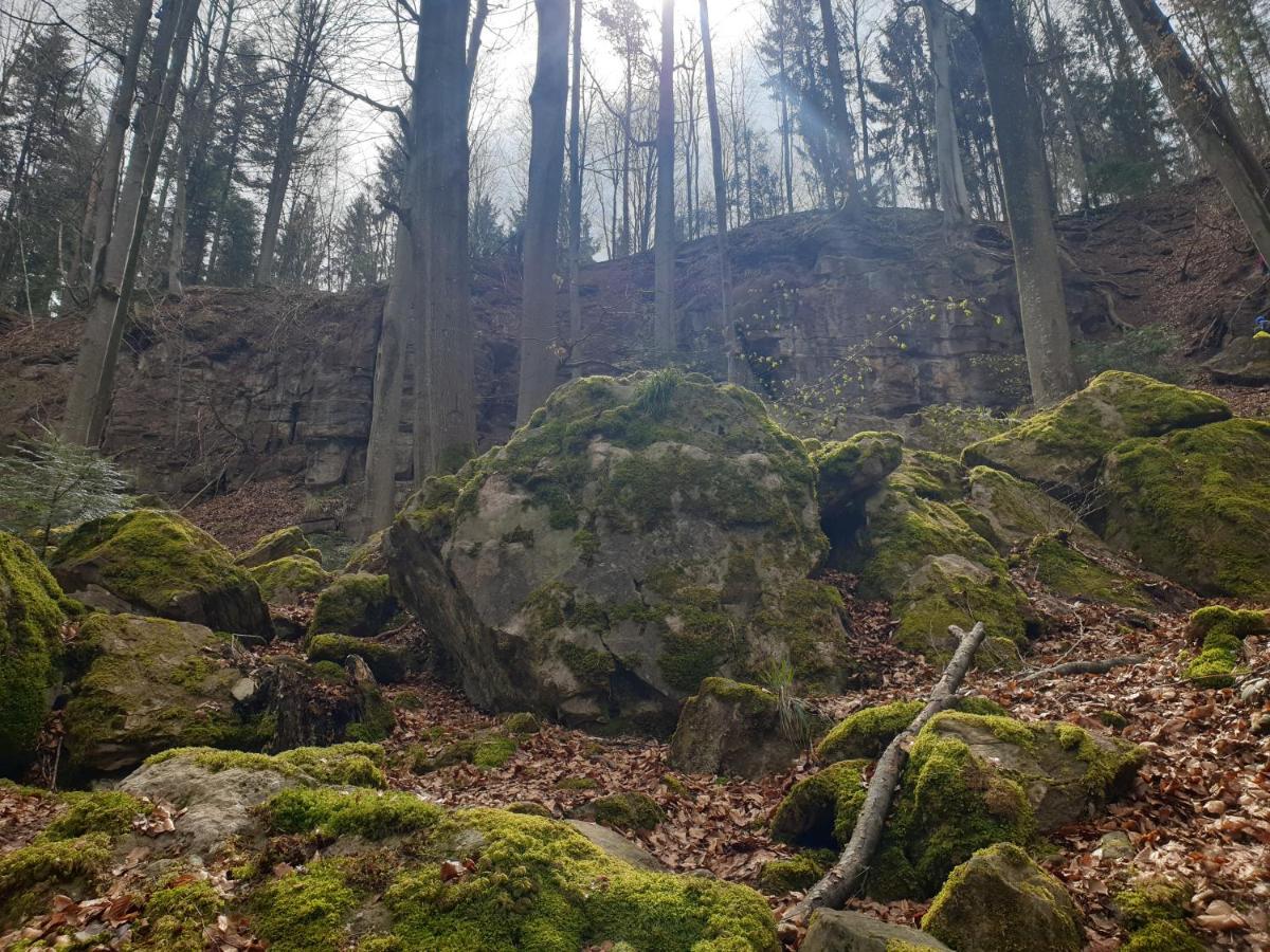 Lana Salta Alpakas - Gemuetliche Ferienwohnungen Auf Dem Bauernhof Murrhardt Kültér fotó