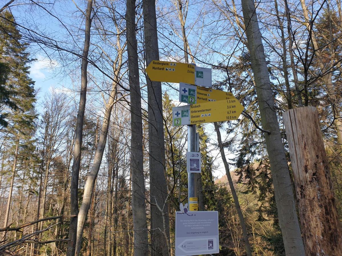 Lana Salta Alpakas - Gemuetliche Ferienwohnungen Auf Dem Bauernhof Murrhardt Kültér fotó